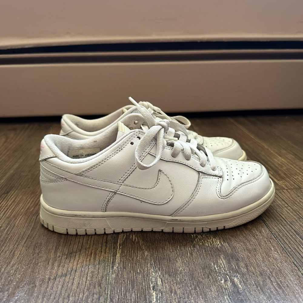 Nike Dunks Low